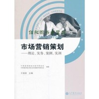 精细化营销策划 从市场洞察到策略落地的实战路径